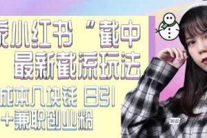 最新小红书截流玩法 独家截中截 单号成本几块钱 日引500+CY粉JZ粉-麦资源网