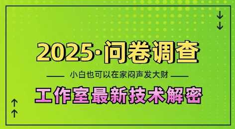 2025问卷调查*工作室技术解密：一个人在家也可以闷声发大财，小白一天2张，可矩阵放大【揭秘】