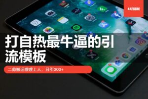 （13654期）打自热最牛逼的引流模板，二剪搬运嗖嗖上人，日引300+-麦资源网