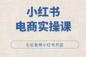 小红薯电商实操课，小红书开店实操必学课-麦资源网