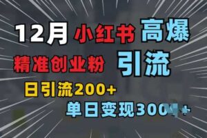小红书一张图片“引爆”创业粉，单日+200+精准创业粉 可筛选付费意识创业粉【揭秘】-麦资源网