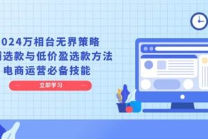（13633期）2024万相台无界策略，店铺选款与低价盈选款方法，电商运营必备技能-麦资源网