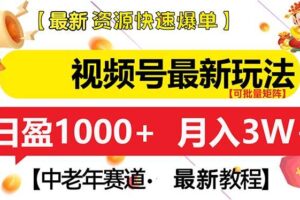 （13530期）视频号最新玩法 中老年赛道 月入3W+-麦资源网