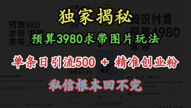 预算3980求带 图片玩法，单条日引流500+*创业粉，私信根本回不完