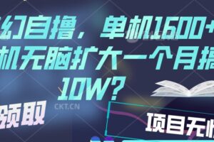 梦幻挂机自撸金，单机1600+超稳定收益，一天见收益，直接扩大-麦资源网