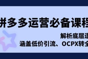 （13700期）拼多多运营必备课程，解析底层逻辑，涵盖低价引流、OCPX转全站-麦资源网