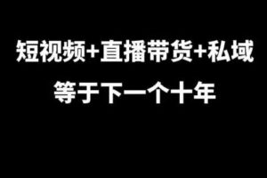 短视频+直播带货+私域等于下一个十年，大佬7年实战经验总结-麦资源网