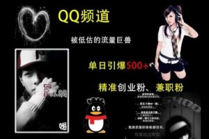 QQ频道：被低估的流量巨兽，单日引爆500+精准创业粉、兼职粉的引流秘籍-麦资源网