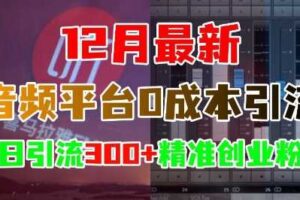 12月最新:音频平台0成本引流,日引流300+精准创业粉-麦资源网