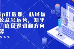 个人ip打造课，私域运营，公众号运营，知乎运营，底层逻辑和方向定位等-麦资源网