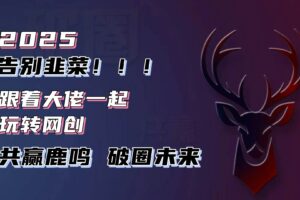 （13896期）告别韭菜！2025知识付费风口项目，小白也能闭眼操作！-麦资源网