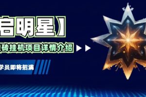 【启明星】33个挂机搬砖项目详细介绍，新手网创看这个就够了。-麦资源网