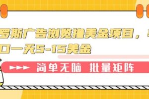 （13929期）俄罗斯广告浏览撸美金项目，单窗口一天5-15美金-麦资源网