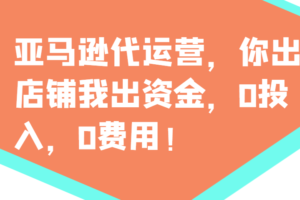 亚马逊代运营，你出店铺我出资金，0投入，0费用，无责任每天300分红，赢亏我承担-麦资源网