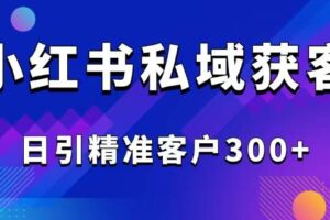 （14304期）2025最新小红书平台引流获客截流自热玩法讲解，日引精准客户300+-麦资源网