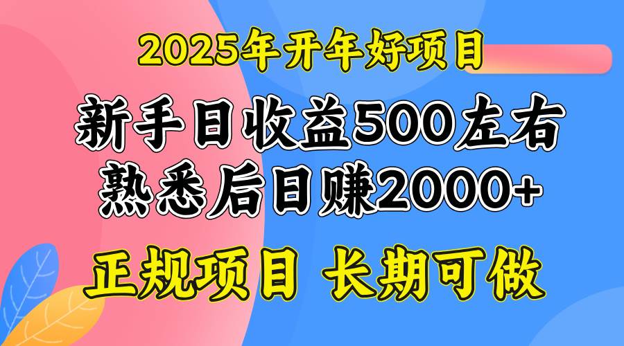 图片[1]-（14076期）2025开年好项目，单号日收益2000左右