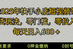 （14185期） 2025快手小店短视频带货模式，零投入，零门槛，每天日入600＋-麦资源网