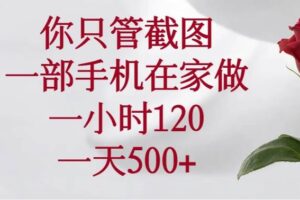 （14248期）你只管截图，一部手机在家做，一小时120，一天500+-麦资源网