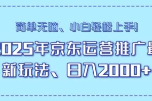 （14179期）25年京东运营推广最新玩法，日入2000+，小白轻松上手！-麦资源网