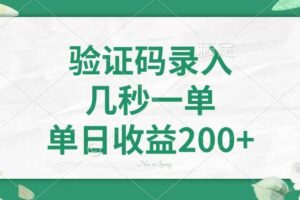 (14221期)验证码录入,几秒一单,单日收益200+-麦资源网
