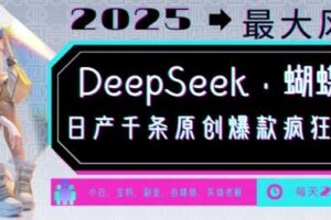 DeepSeek+蝴蝶号，2025年最大风口，日产千条原创爆款，轻松月入破W-麦资源网