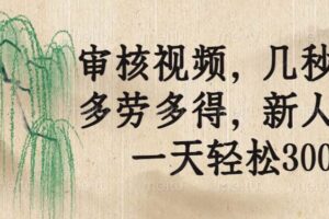（14202期）审核视频，几秒一单，多劳多得，新人小白一天轻松300+-麦资源网