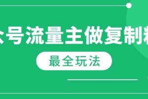 （14333期）最新完整Ai流量主爆文玩法，每天只要5分钟做复制粘贴，每月轻松10000+-麦资源网