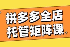 拼多多全店托管矩阵课，盈利动销玩法，高效计划设置，提升店铺效益-麦资源网