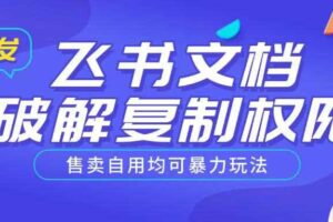 首发飞书文档破解复制权限，售卖自用均可暴力玩法-麦资源网
