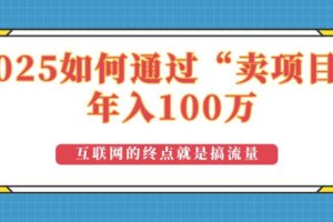 （14181期）2025年如何通过“卖项目”实现100万收益：最具潜力的盈利模式解析-麦资源网