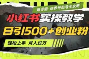 2月小红书最新日引500+创业粉实操教学【超详细】小白轻松上手，月入1W+，附小红书养号起号SOP-麦资源网