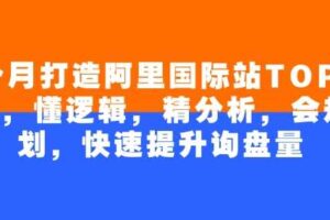 4个月打造阿里国际站TOP店铺，懂逻辑，精分析，会规划，快速提升询盘量-麦资源网