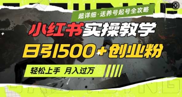 2月小红书*日引500+创业粉实操教学【超详细】小白轻松上手，月入1W+，附小红书养号起号SOP