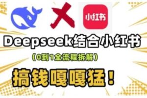 deepseek+小红书打造流量生产线实操课，0到1全流程拆解，搞钱嘎嘎猛-麦资源网