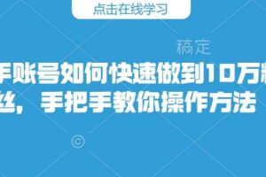 快手账号如何快速做到10万粉丝，手把手教你操作方法-麦资源网