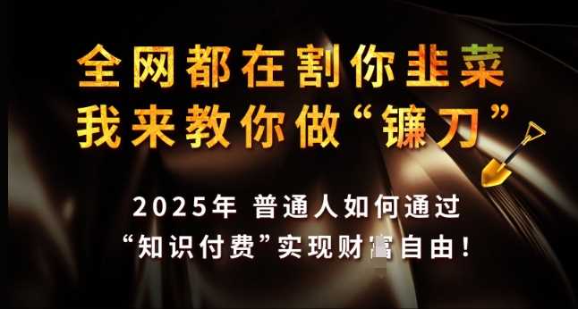 *都在割你韭菜，我来教你做镰刀，2025年普通人如何通过 知识付费 实现财F自由【揭秘】