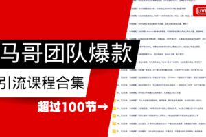 马哥团队【122节】最全项目爆款引流课程合集【持续更新】-麦资源网