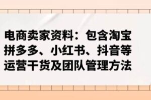 （14354期）电商卖家资料：包含淘宝、拼多多、小红书、抖音等运营干货及团队管理方法-麦资源网