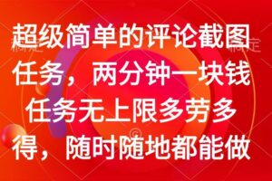 （14308期）简单的评论截图任务，两分钟一块钱 任务无上限多劳多得，随时随地都能做-麦资源网