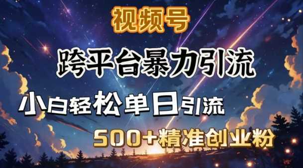 跨平台*引流，私域*闭环，日引500+*创业粉
