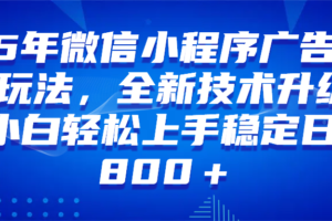（14161期）微信小程序全自动挂机广告，纯小白易上手，稳定日入1000+，技术全新升级，全网首发-麦资源网