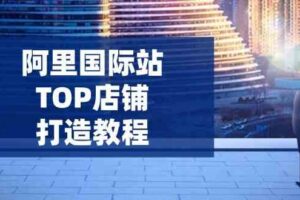 阿里国际站TOP店铺打造教程：涵盖平台到高阶，解决运营难题，提升询盘-麦资源网