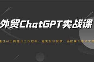 外贸ChatGPT实战课，通过AI工具提升工作效率，避免低价竞争，轻松拿下海外大单！-麦资源网