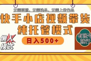 快手小店托管代运营 全程无需操作 二八分成 月入5000+-麦资源网