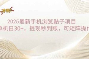（14197期）2025手机浏览帖子单机日30+，提现秒到账，可矩阵操作-麦资源网
