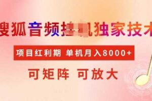 全网首发搜狐音频挂JI独家技术，项目红利期，可矩阵可放大，稳定月入8k【揭秘】-麦资源网