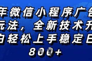 2025年微信小程序全新玩法纯小白易上手，稳定日入多张，技术全新升级，全网首发【揭秘】-麦资源网