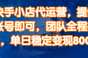 （14337期）快手小店代运营，提供账号即可，团队全程操盘，单日稳定变现800＋-麦资源网