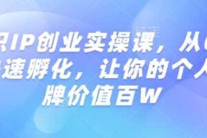知识IP创业实操课,从0到1快速孵化,让你的个人品牌价值百W-麦资源网