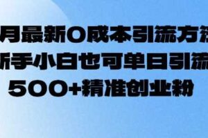 2月最新0成本引流方法，新手小白也可单日引流500+精准创业粉-麦资源网